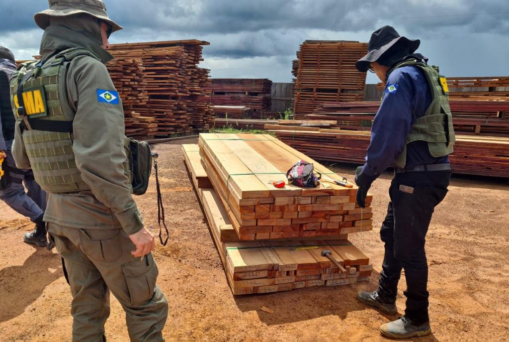 Mato Grosso pune extração ilegal de madeira em duas operações