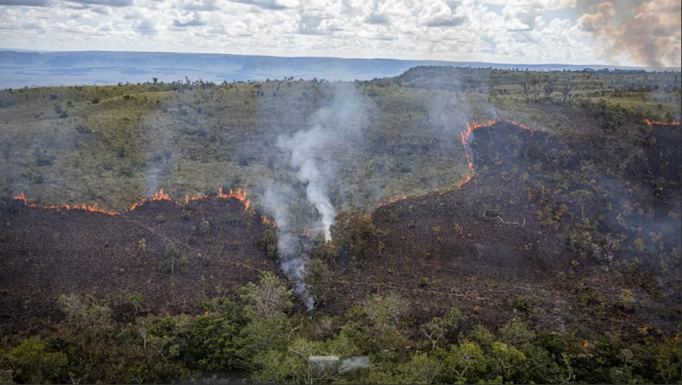 Queima prescrita é feita no Parque Nacional de Chapada dos Guimarães