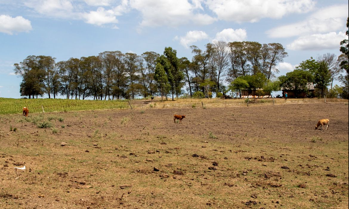 Mundo terá calor recorde até 2027 e Amazônia, menos chuva, diz ONU