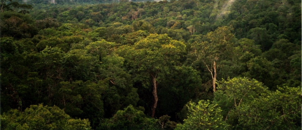 Fundo para ação climática promete US$ 70 mi para o Brasil