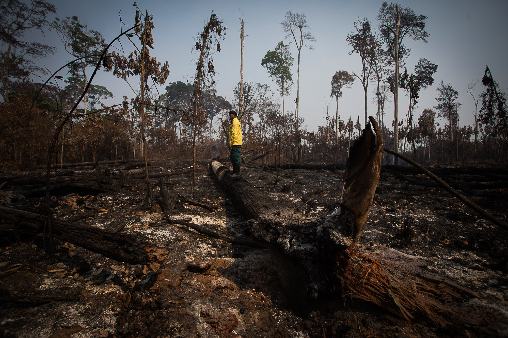 Cerrado tem maior índice de queimadas em 12 anos