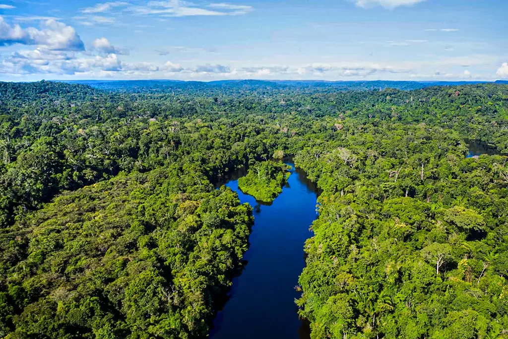 MMA e MS firmam parceria para preservação do Pantanal