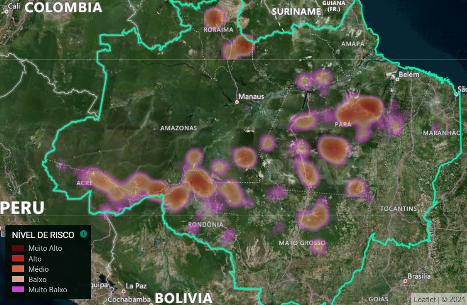 Entenda como IA pode revolucionar combate ao desmatamento