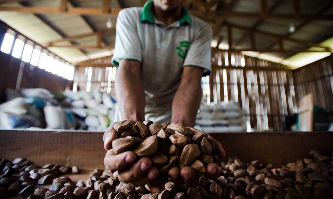 Inovação é aposta de empresários para alavancar bioeconomia