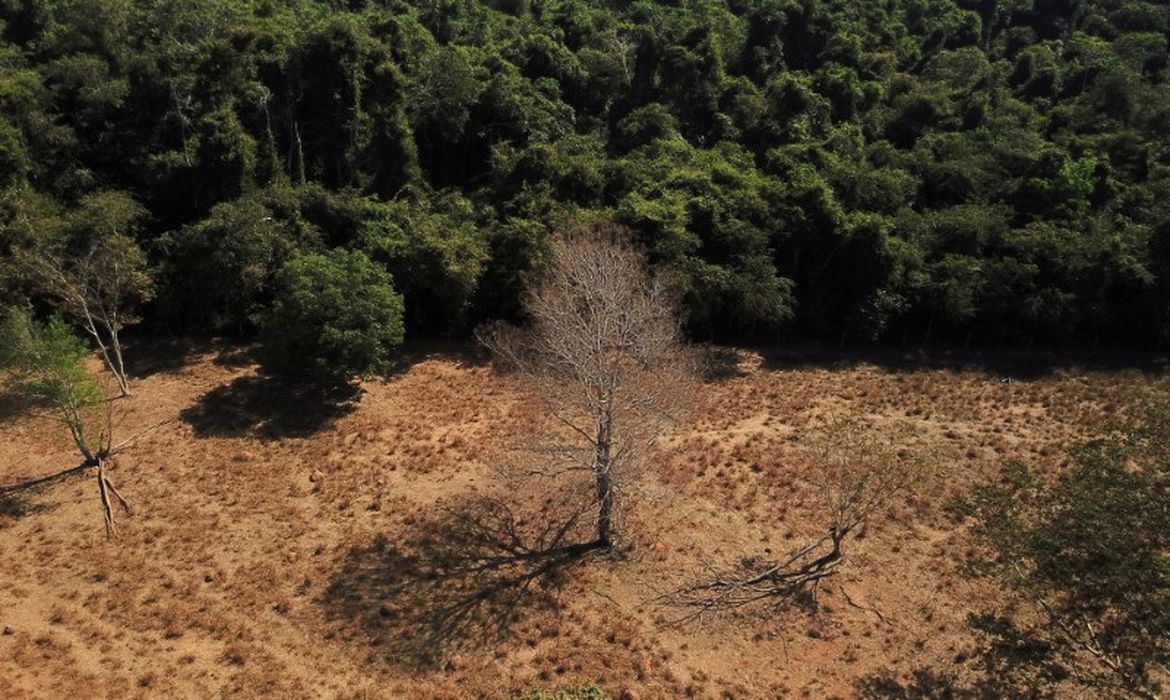 Ofuscado pela Amazônia, Cerrado se torna “zona de sacrifício”