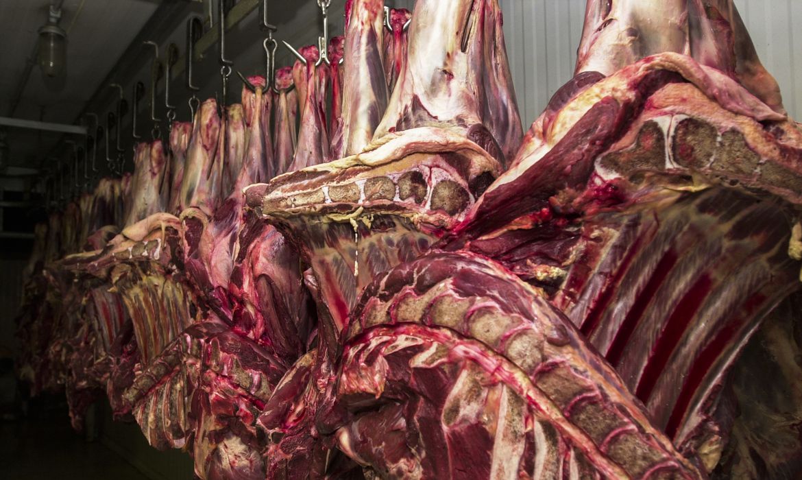 MT registra recorde na série histórica em exportação de carne