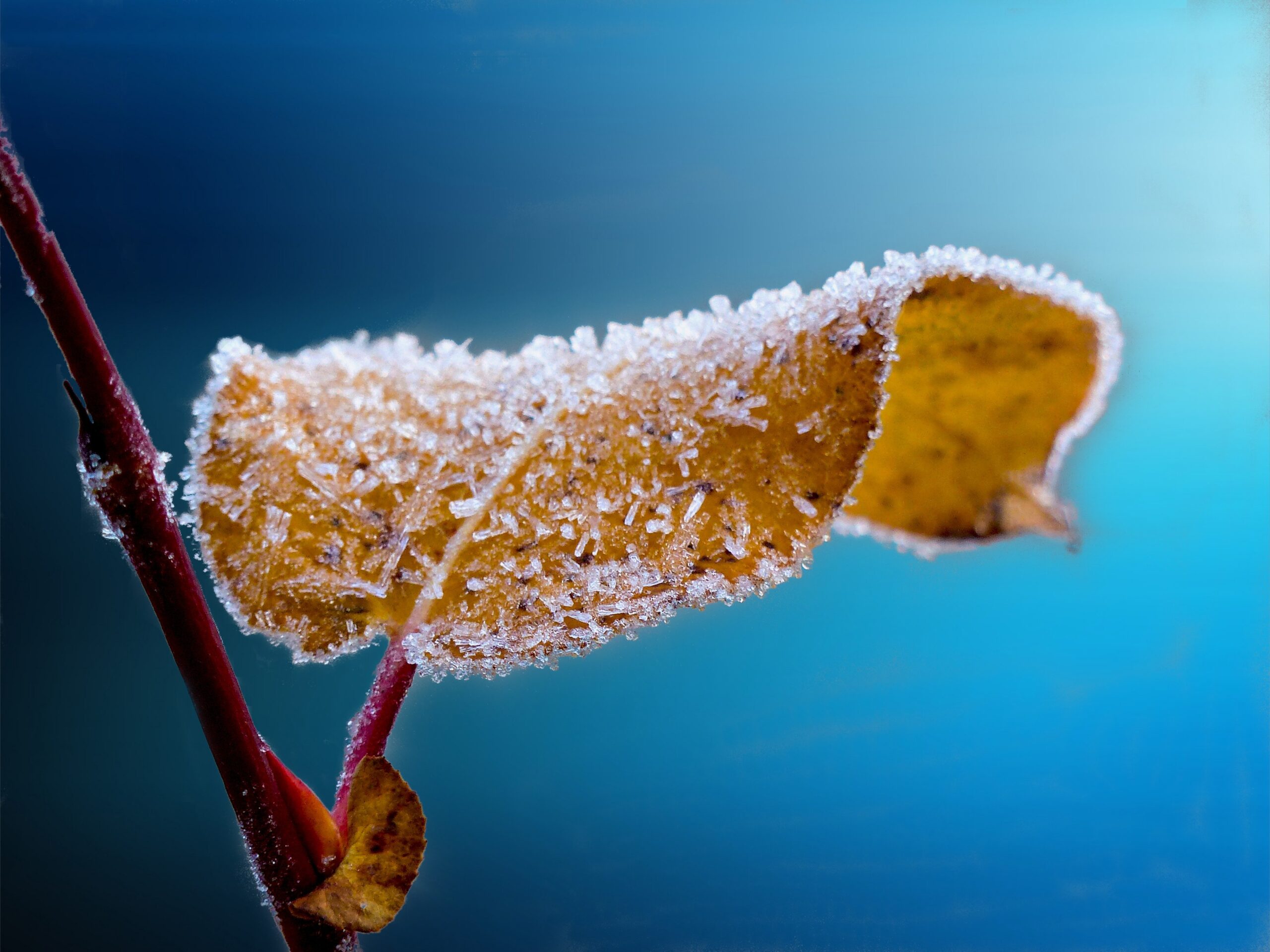 Inverno começa com período menos chuvoso em grande parte do país