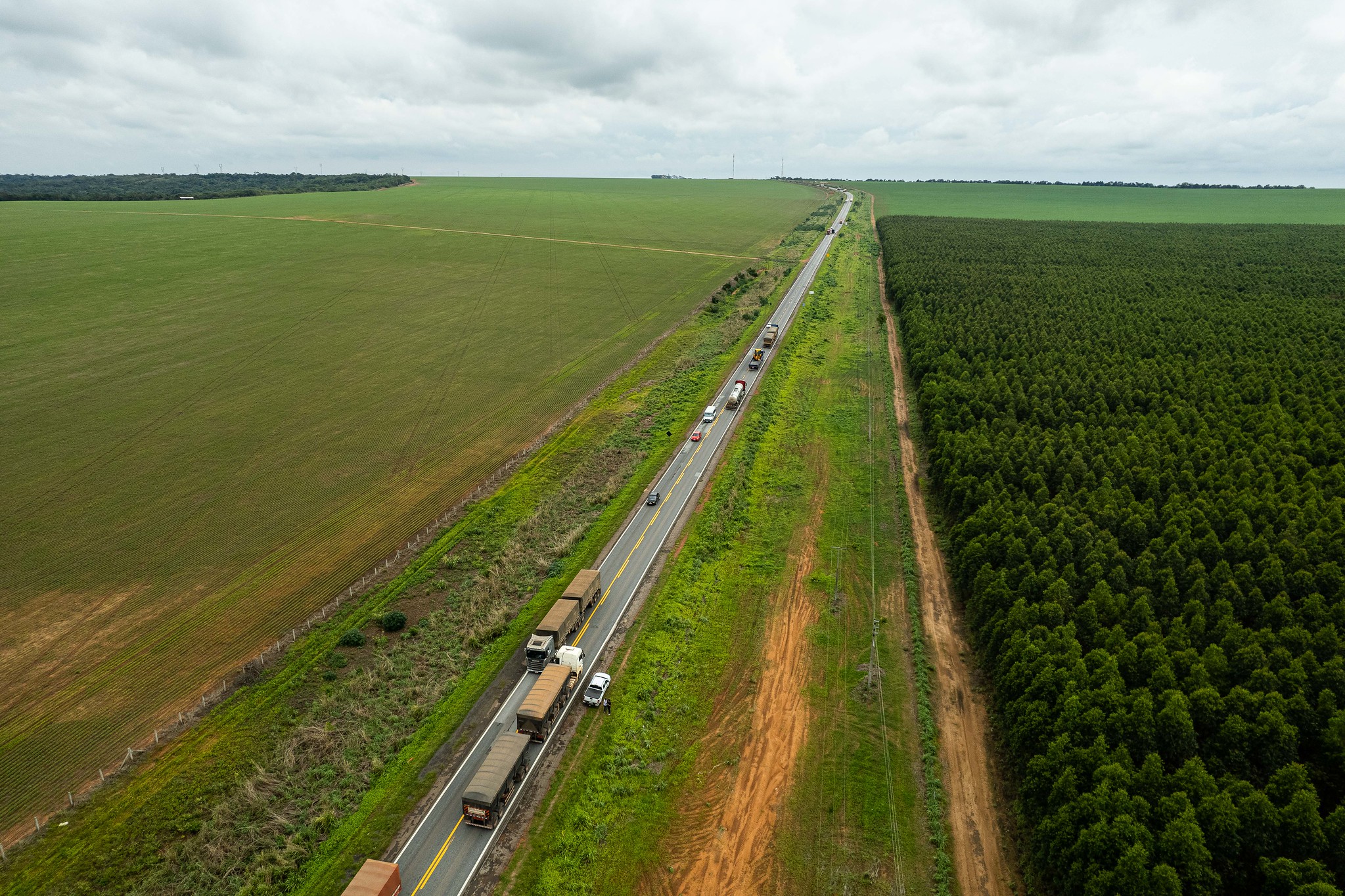 Agronegócio é diferencial para crescimento populacional em MT