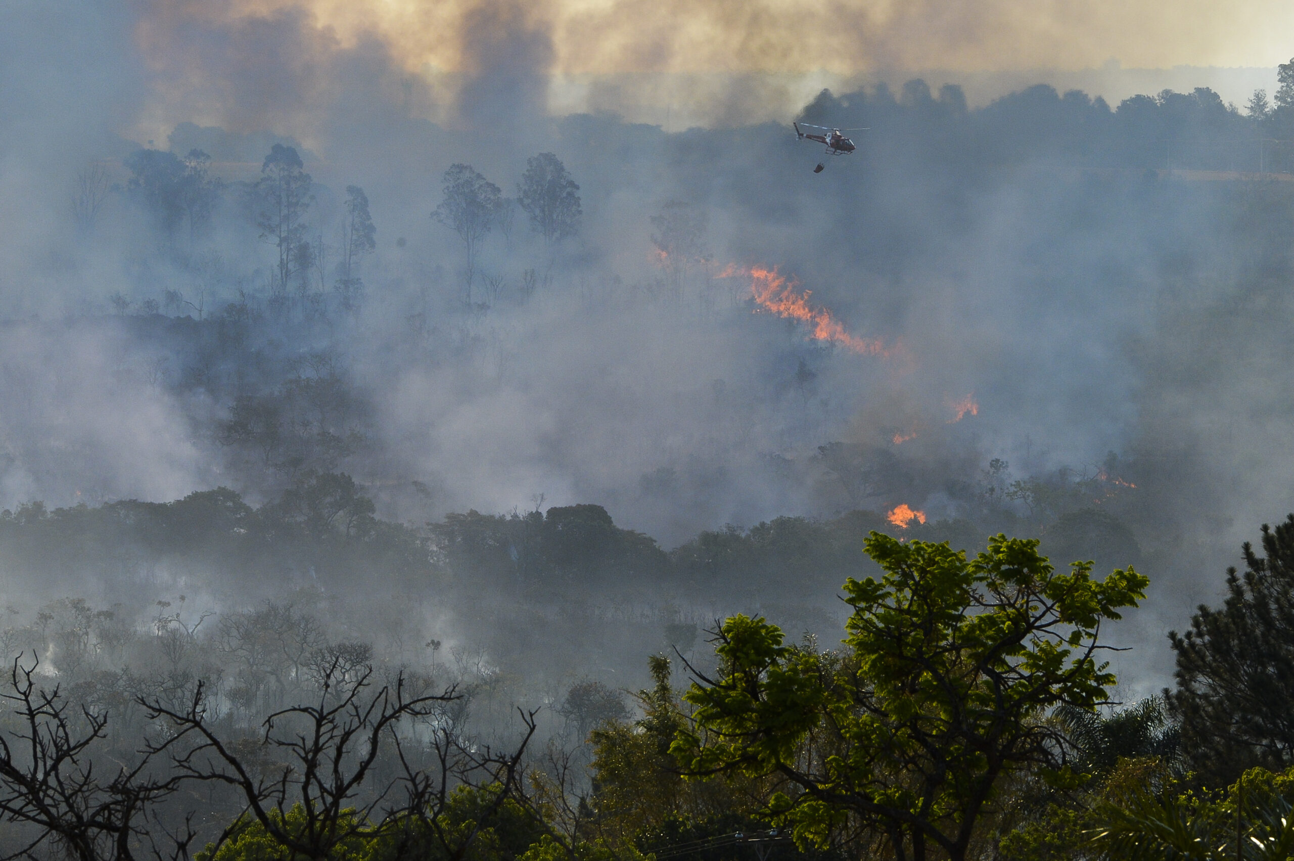COP28: Emissões por incêndios mais que dobram na Amazônia