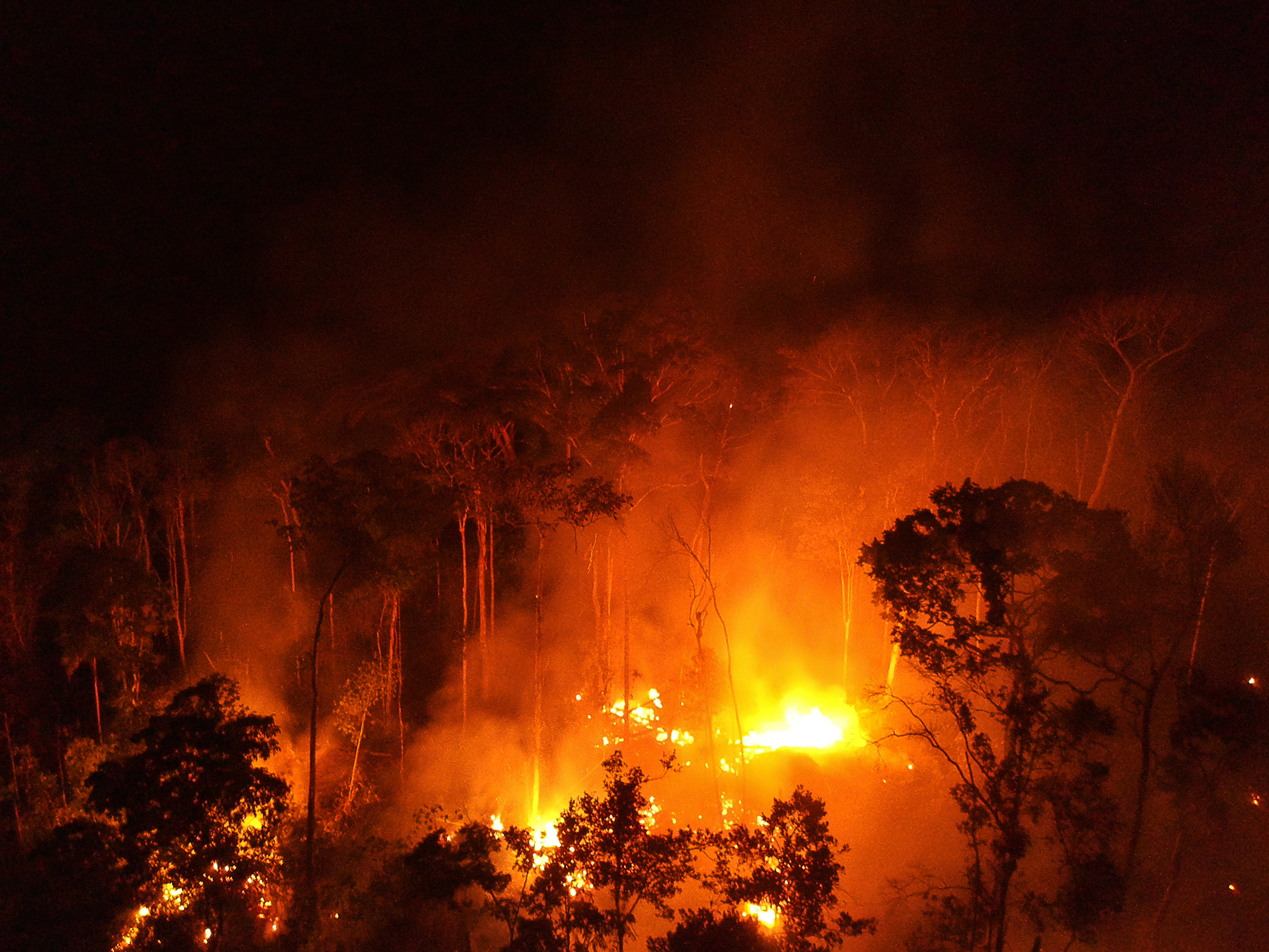 Amazônia tem maior número de queimadas para o junho em 16 anos