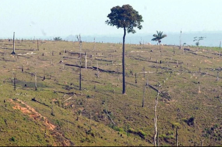 ‘Campeão do desmatamento’ faz acordo e doa terreno para parque