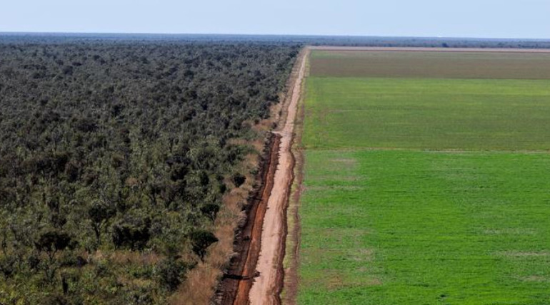 Desmatamento ‘legal’ em MT e MS levanta dúvidas sobre autorizações