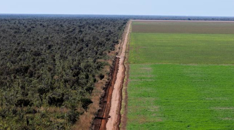 Desmate é encarado como fator de risco para investimentos no agro