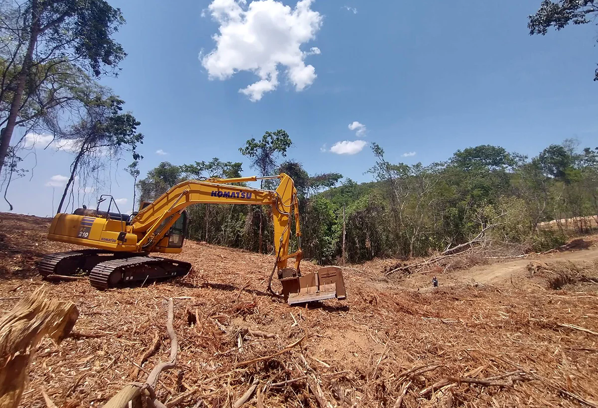 Cerrado lidera desmatamento de vegetação não florestal no Brasil