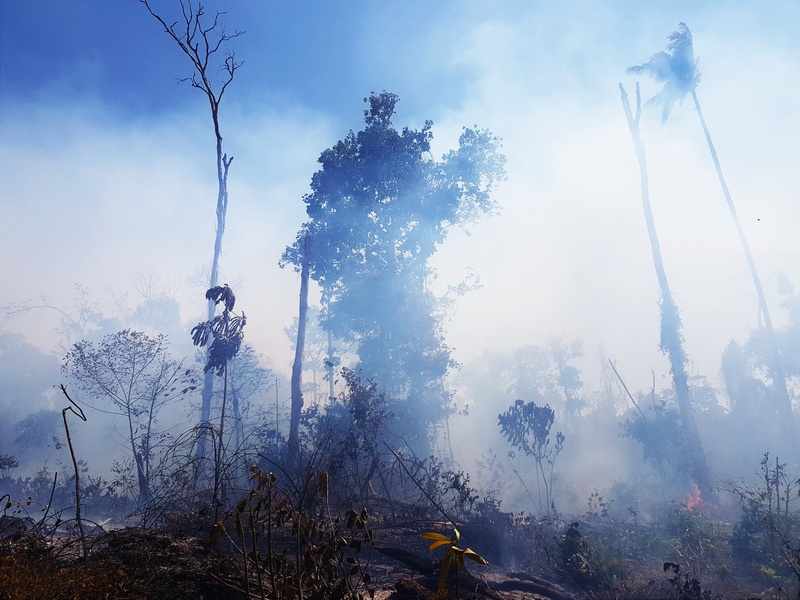 O que é a “temporada do fogo” na Amazônia e por que ela existe