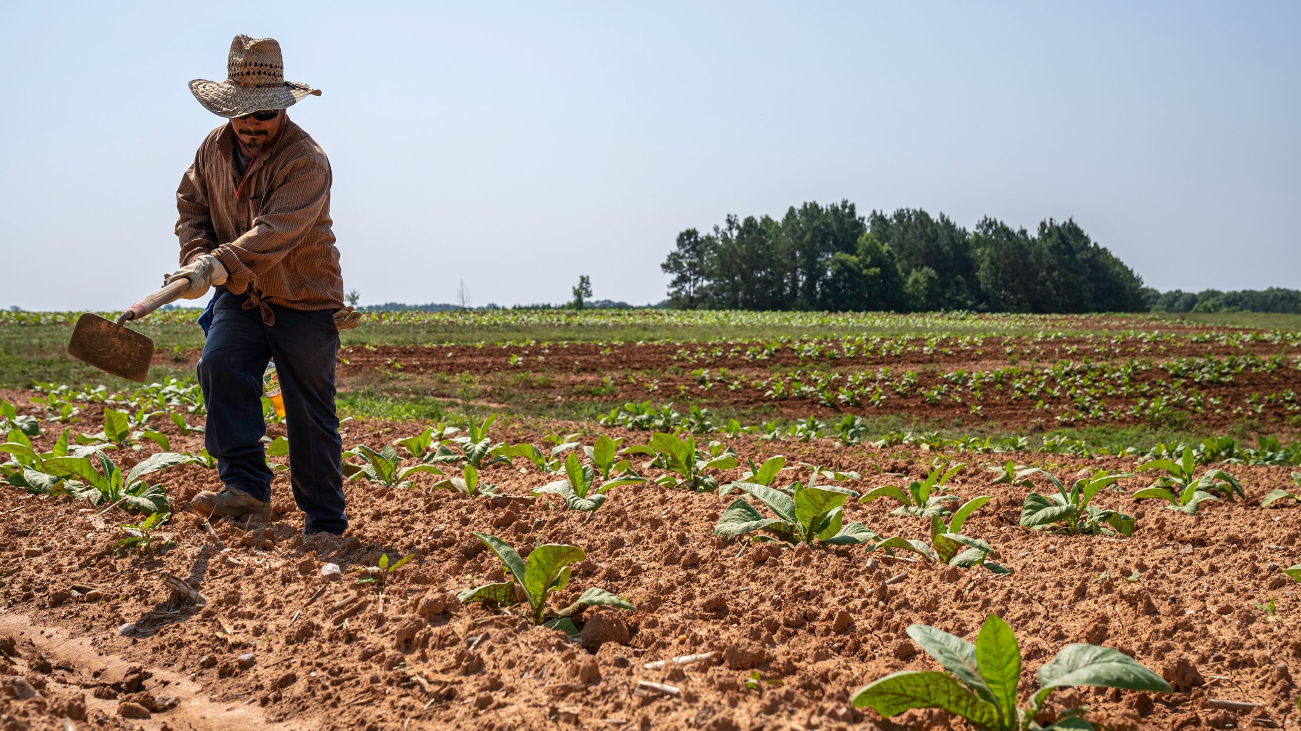 Na agenda ESG, questão ambiental é o pilar menos considerado pelo agro