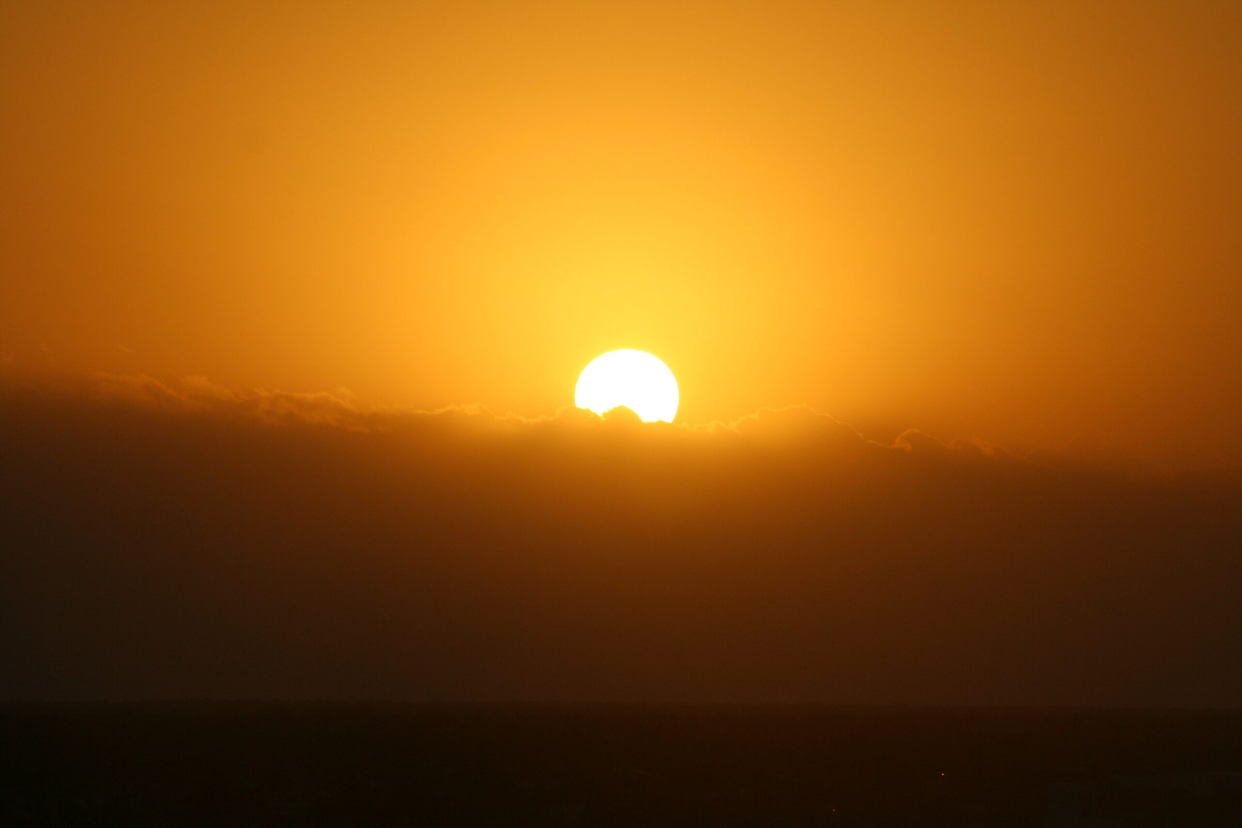 O que podemos esperar sobre os impactos do calor extremo?