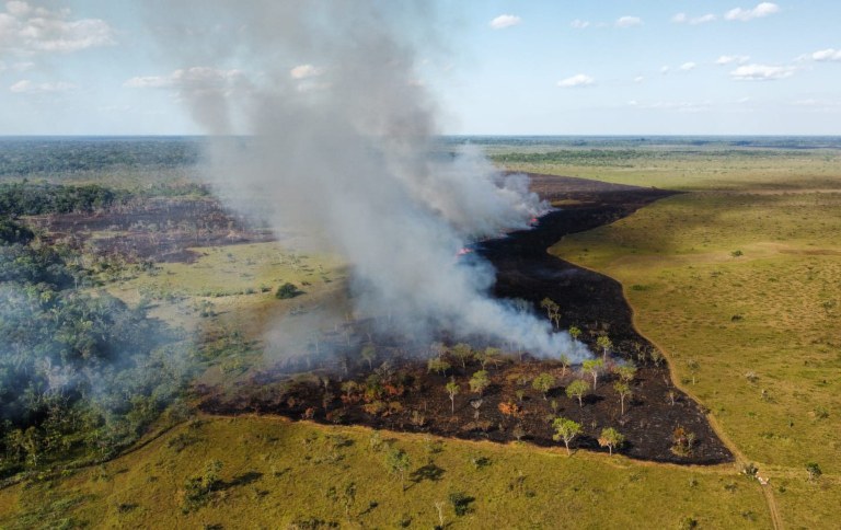 Cerrado e Amazônia têm queimas prescritas para prevenir incêndios