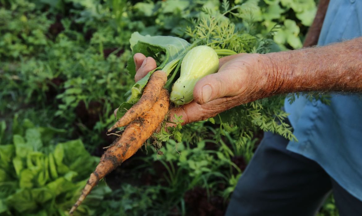 Mudanças simplificam o Cadastro Nacional da Agricultura Familiar