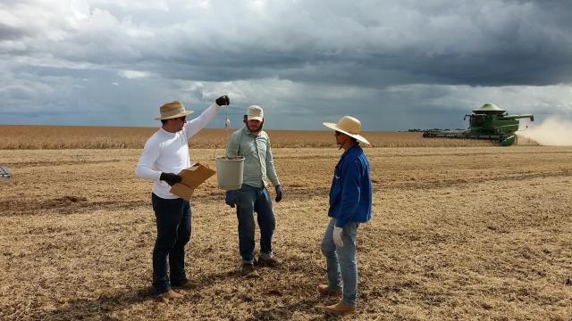 Produtores de soja se preocupam agora com ‘qualidade da chuva’