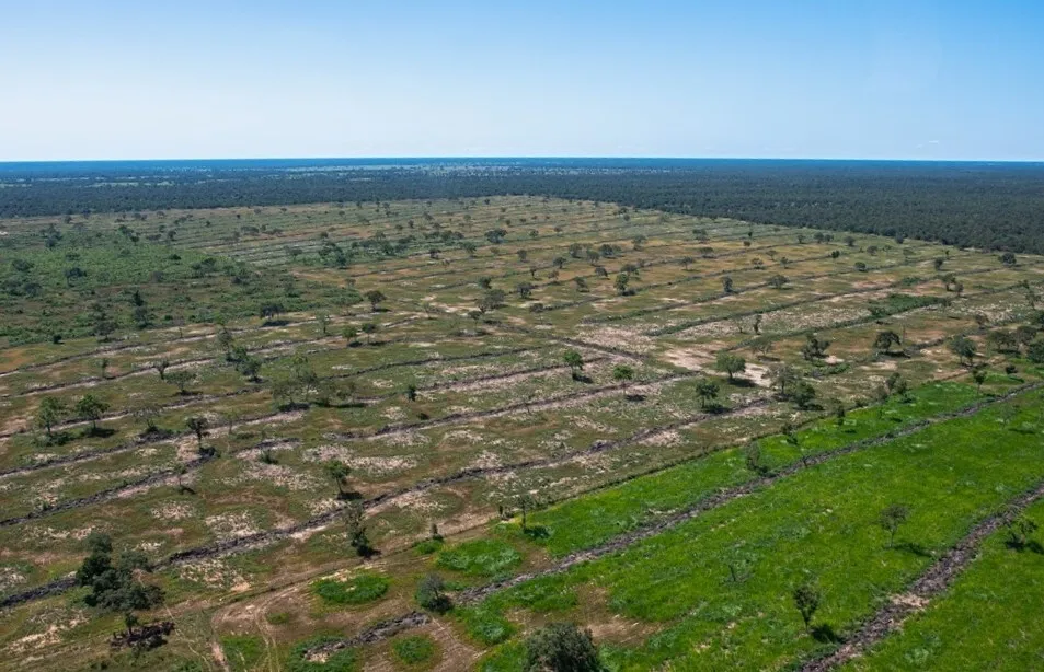 Governo Federal pode ‘derrubar’ leis de MT e MS sobre o Pantanal