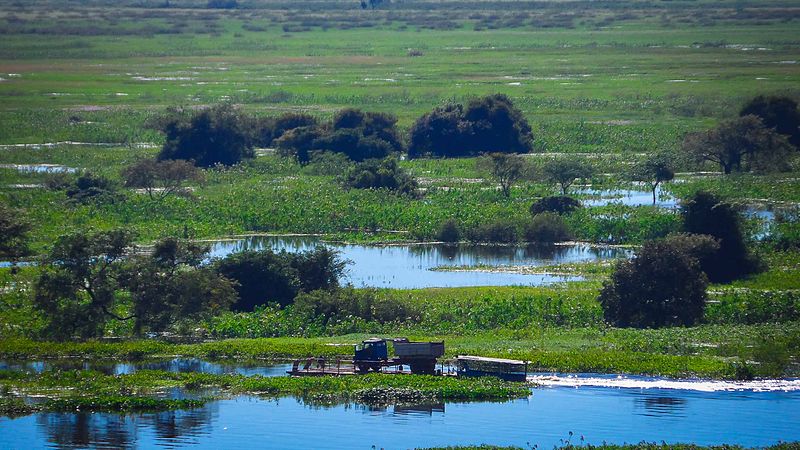 Evento vai discutir a conservação e uso sustentável do Pantanal