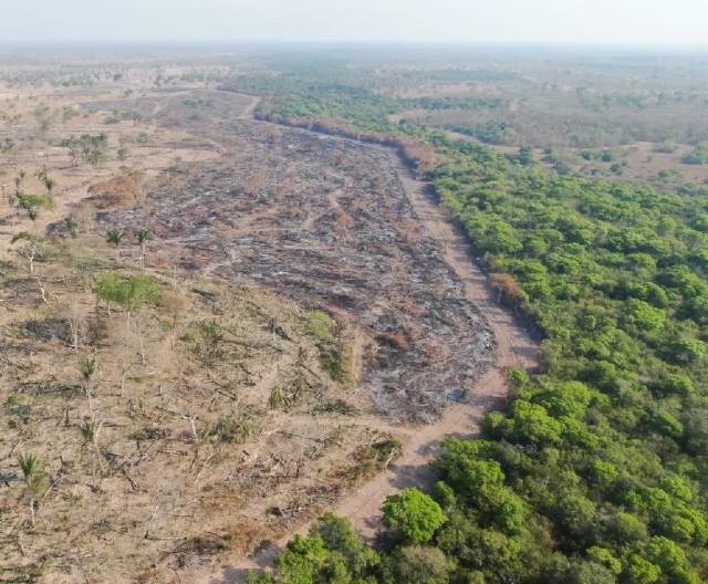 Após anunciar lei para o Pantanal, Governo de MS suspende licenças
