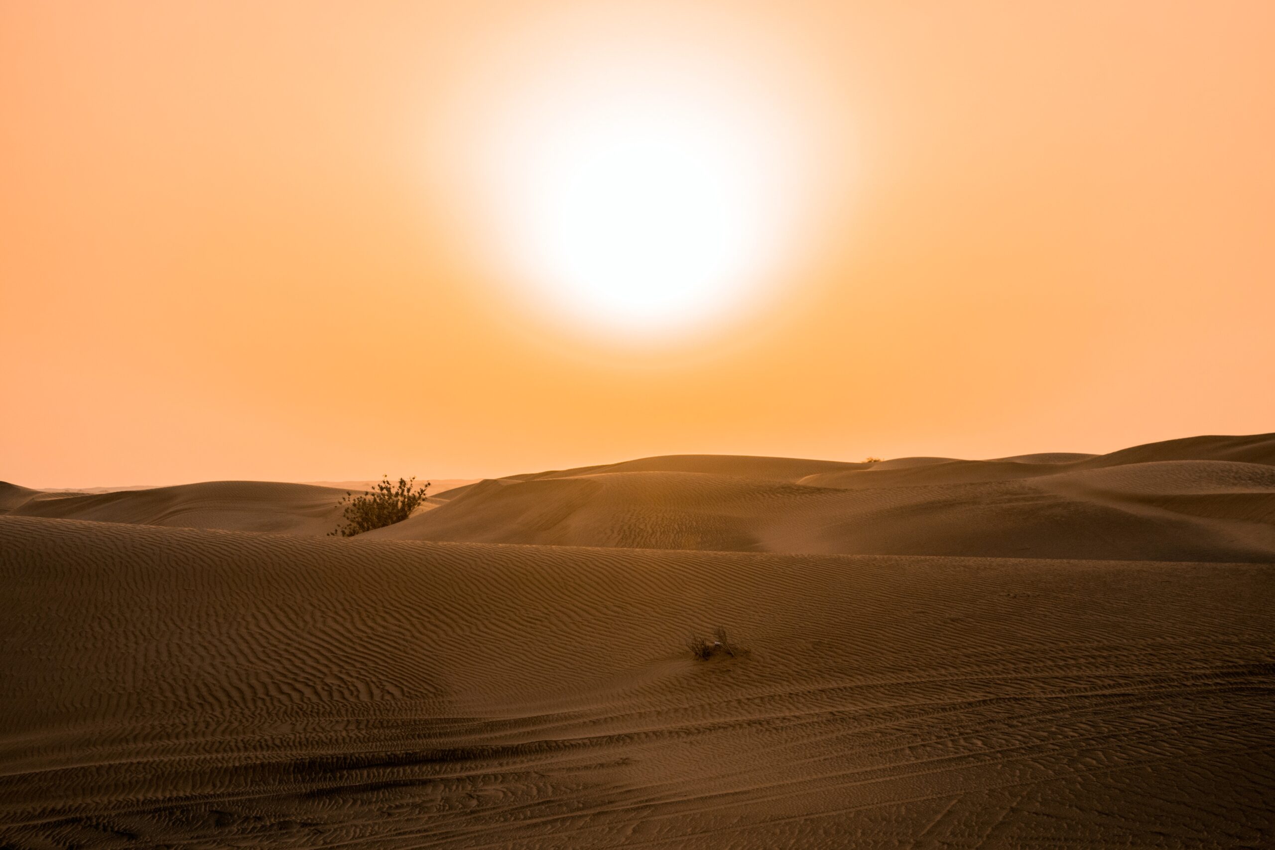 Calor extremo levou ONU a afirmar que estamos em “ebulição global”