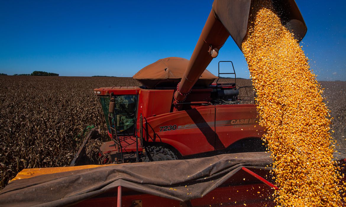 El Niño deve ficar até fevereiro e safra brasileira será a mais prejudicada