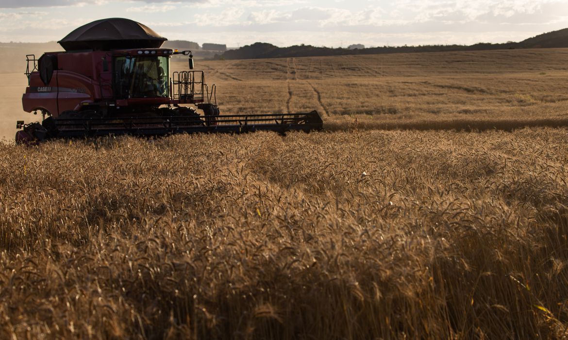 Investidor subestima risco climático: perda no agro pode ser de US$ 314 bi