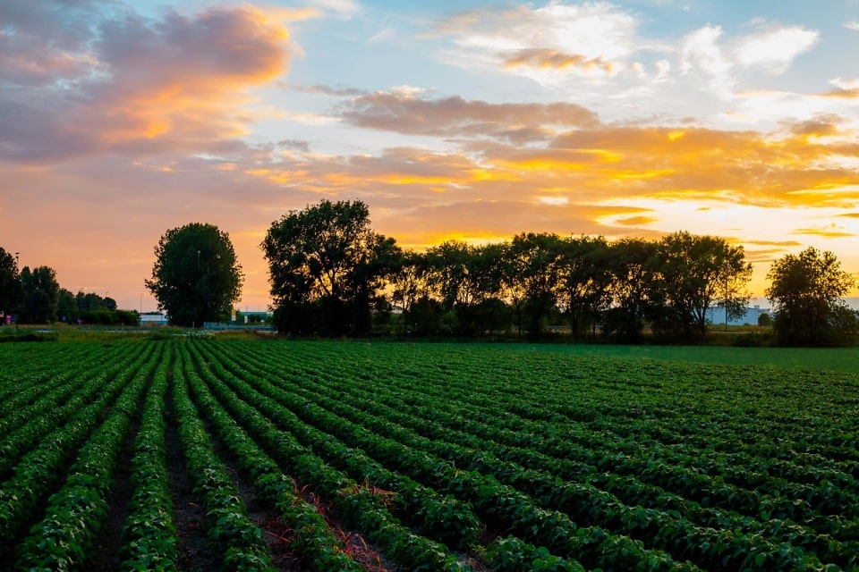 Agro brasileiro contabiliza 44 novos mercados externos em 2023