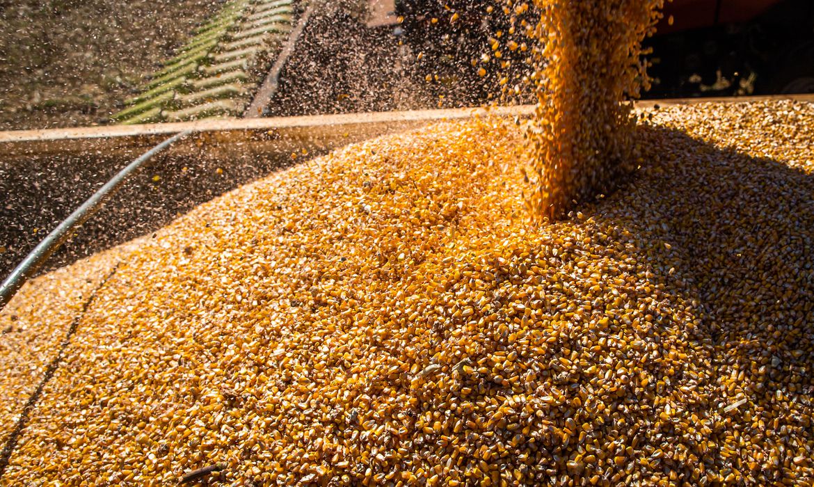 Produção de grãos bate recorde com alta de 18,4% em 2022/23,  diz Conab