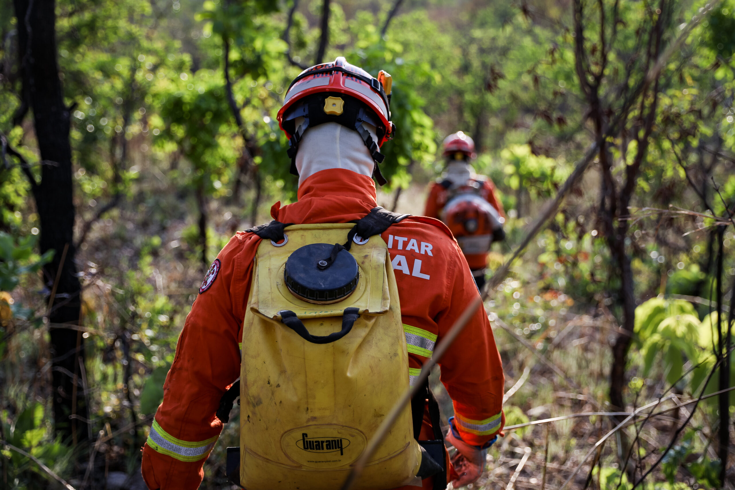 Incêndio no Parque Estadual Serra Ricardo Franco está controlado