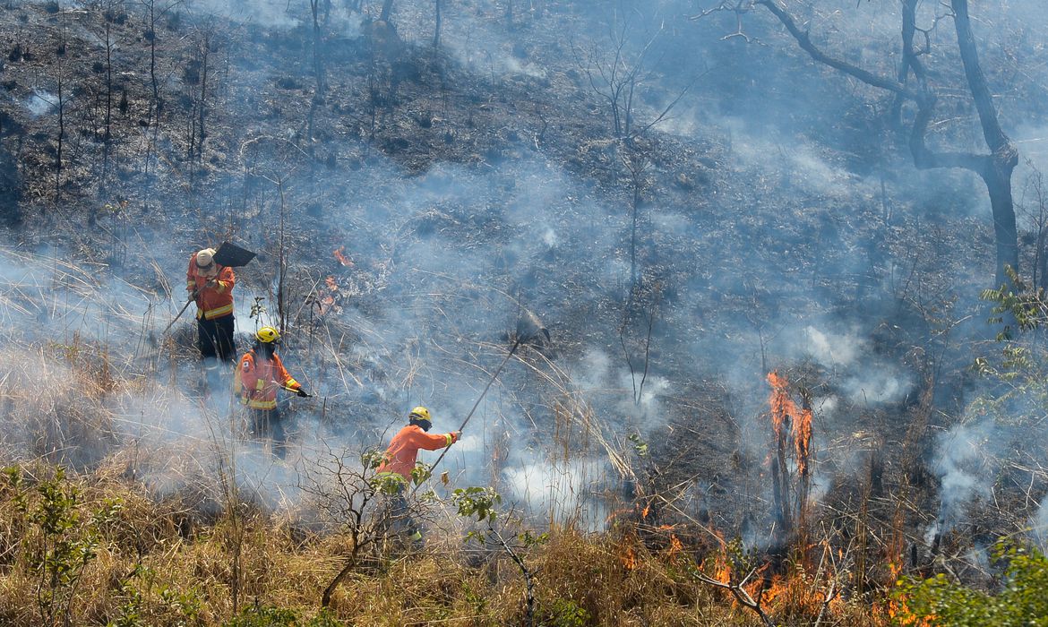 Há 95% de chance do El Niño continuar até março de 2024, dizem cientistas