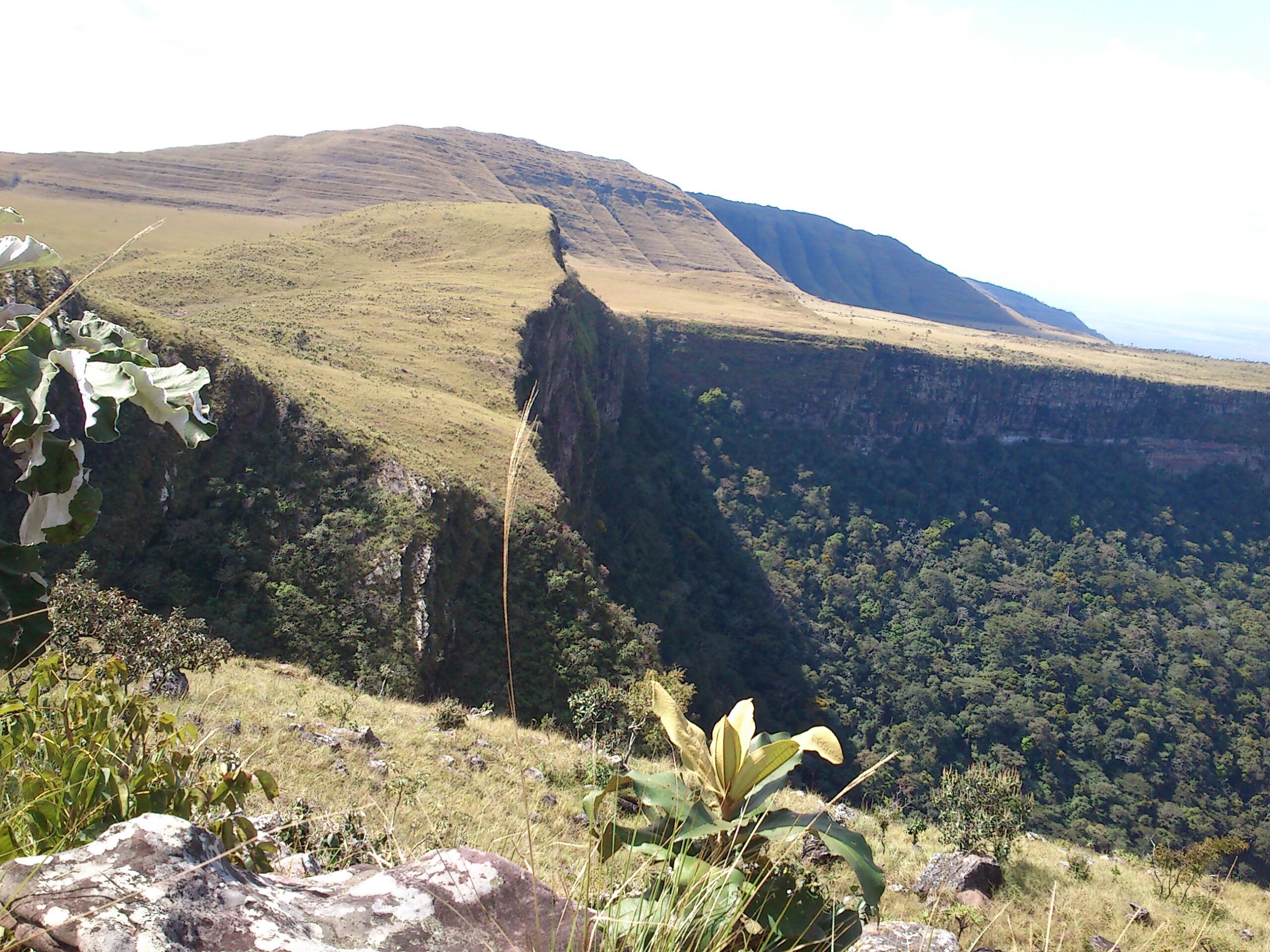 Fogo consome parques estaduais em Mato Grosso