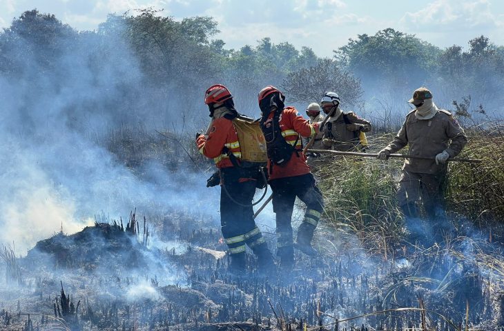 Incêndio que destruiu 500 hectares é controlado em Bonito (MS)
