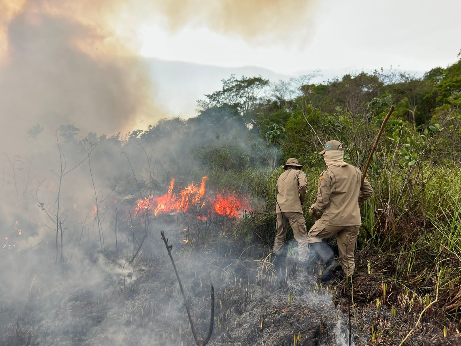 Fogo consome o equivalente a 1.862 campos de futebol em MS