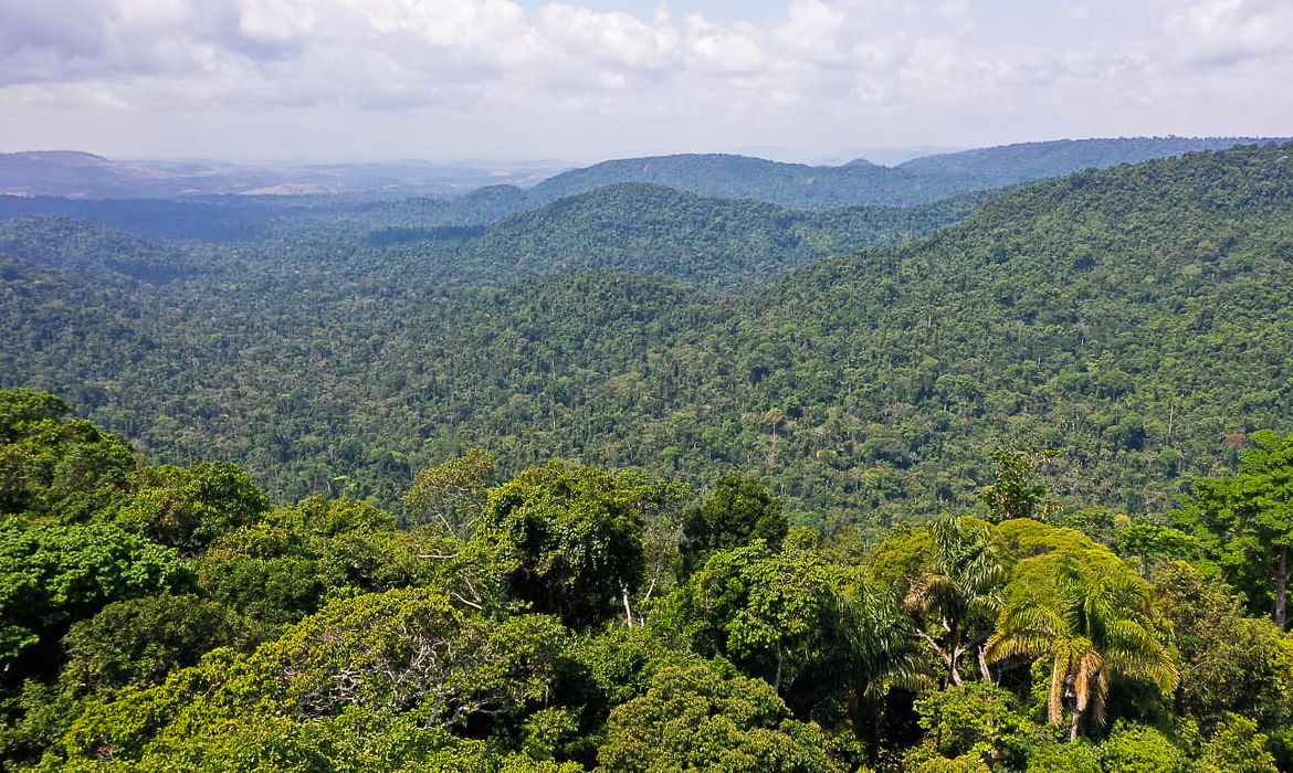 Com reforço no combate, desmatamento na Amazônia cai 57% em setembro
