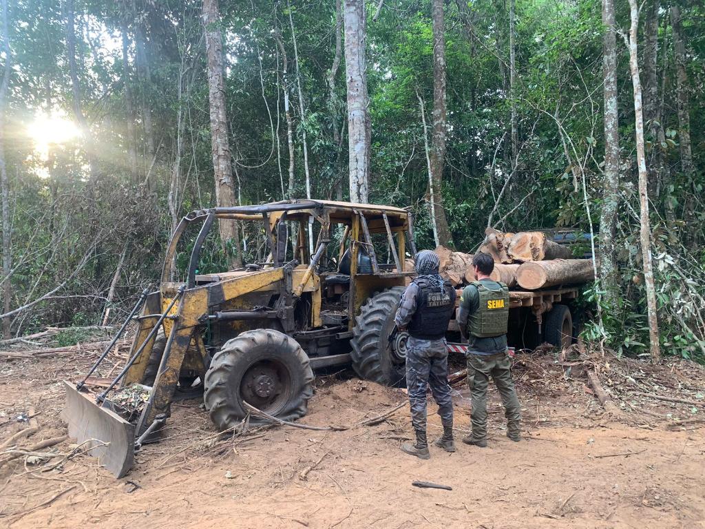 Justiça bloqueia R$ 32 mi por esquema de madeira ilegal em MT