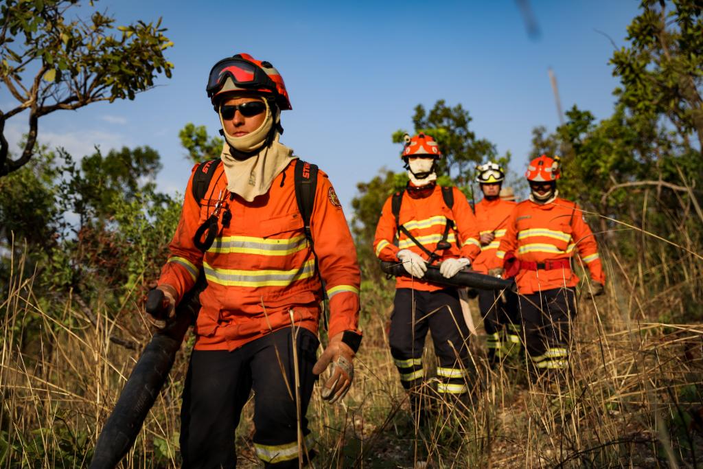 Mato Grosso reduz em 57% o número de focos de calor entre julho e agosto