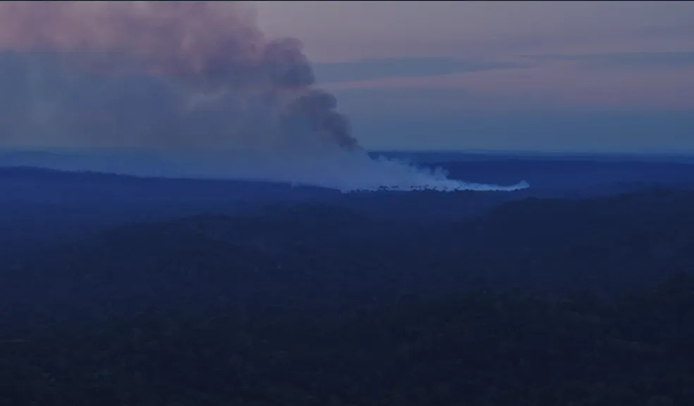 Incêndio devasta Parque do Cristalino II, ao Norte de MT