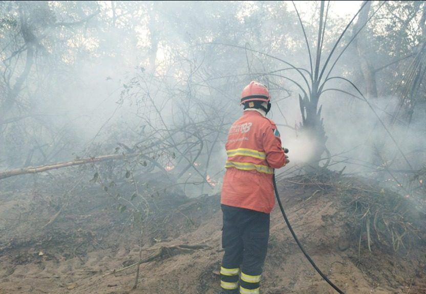 Bombeiros combatem três focos de incêndio no Pantanal em MS