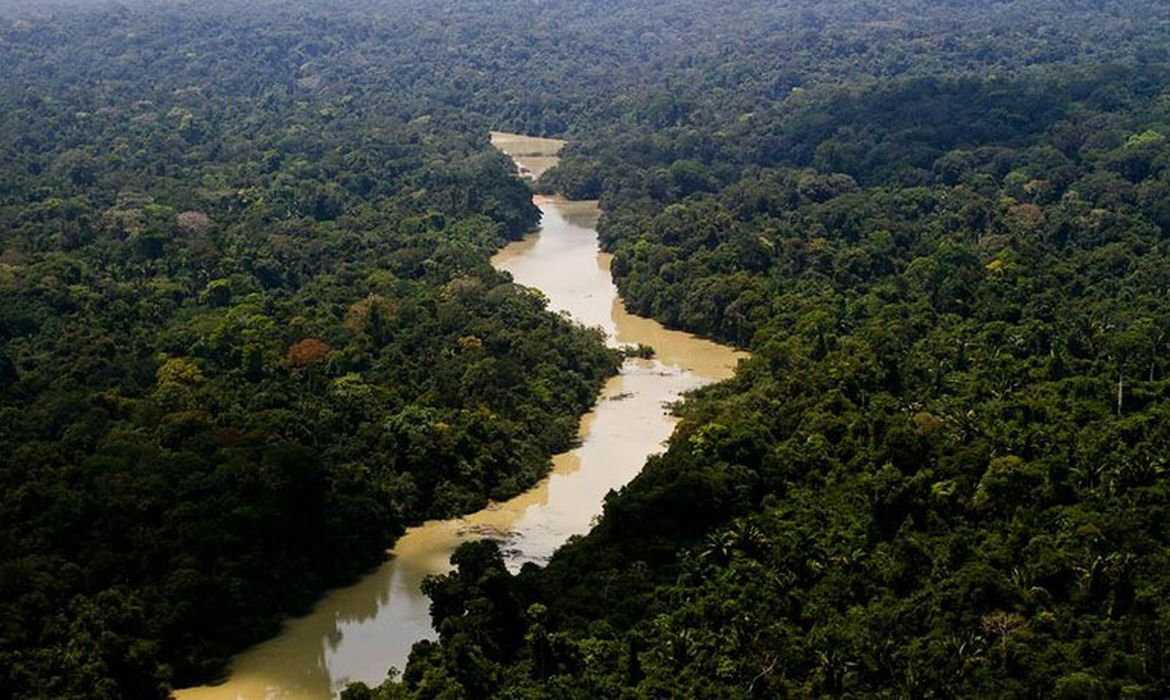 Área sob alertas de desmatamento na Amazônia cai 66% em agosto