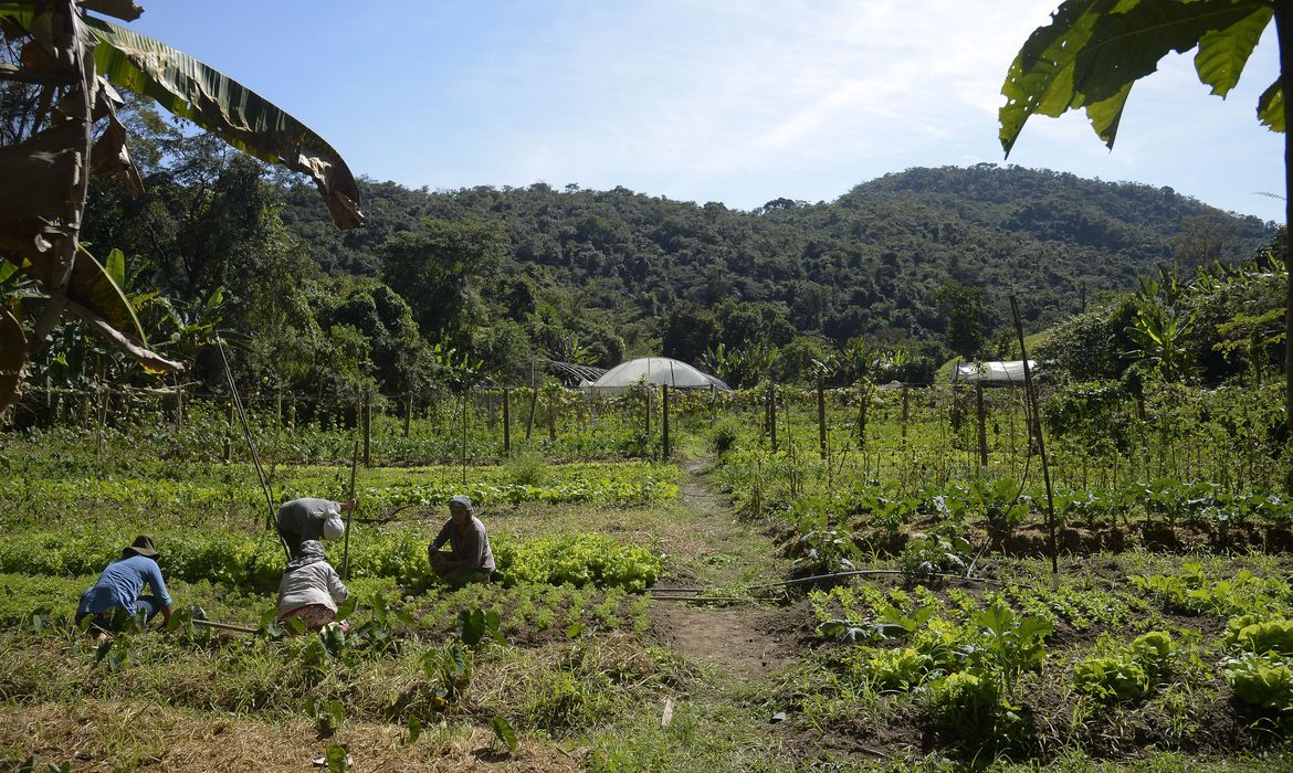 Política de empreendedorismo para jovens no campo vira lei