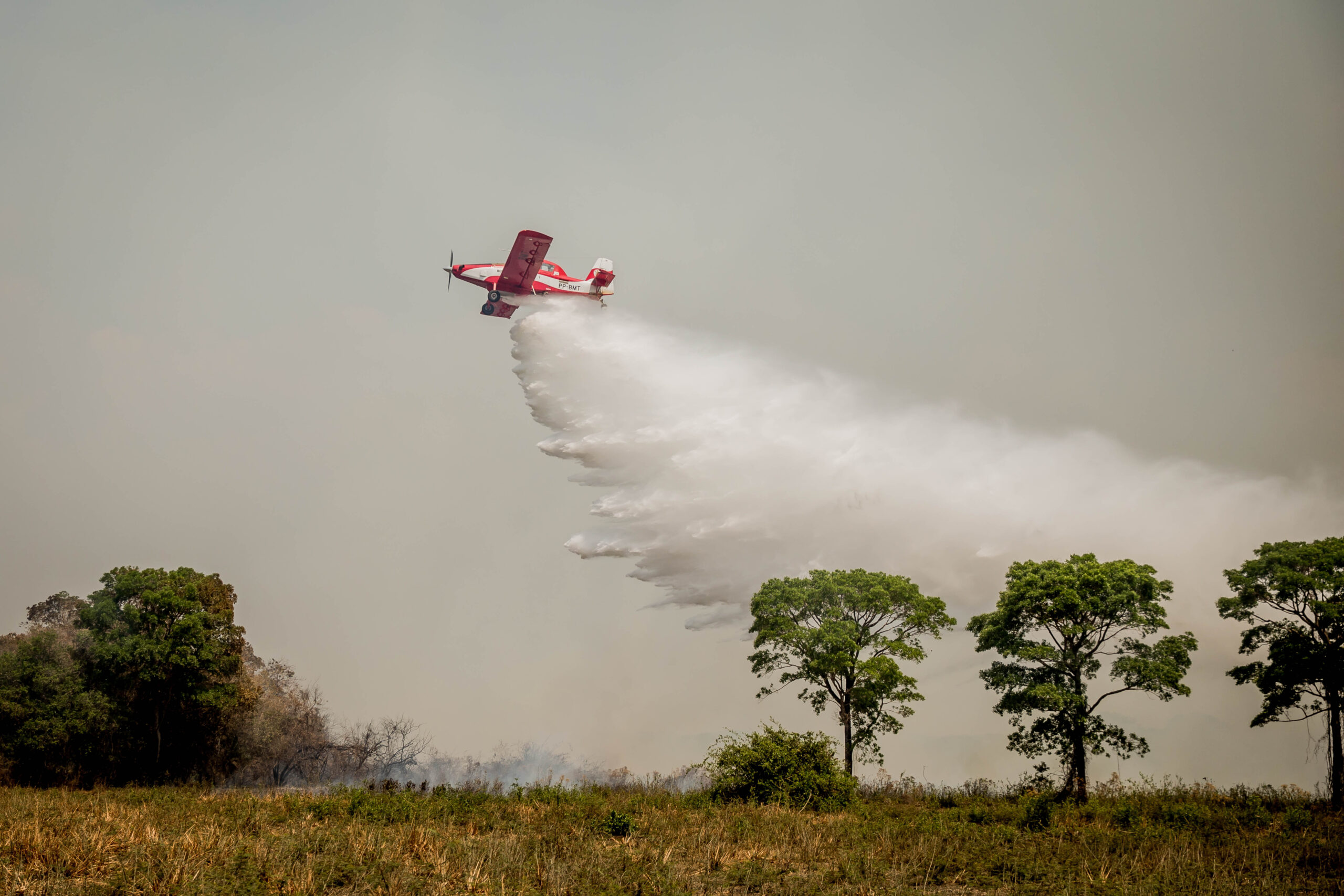 Incêndios no Pantanal de MT mobilizam equipe de 40 pessoas