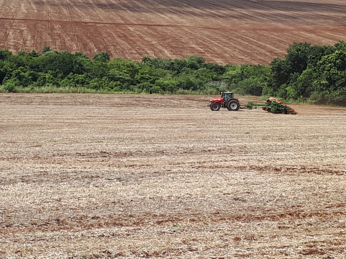 Ritmo de plantio da soja em MT sofre impacto do tempo seco, diz AgRural