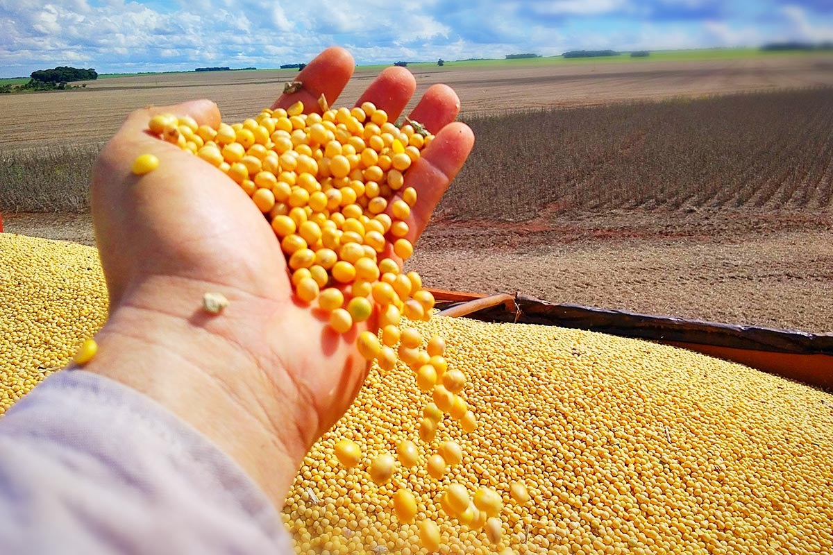 Guerra pode trazer choque maior a mercados de commodities