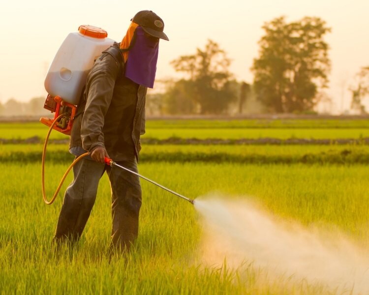 Agrotóxicos podem ter intoxicado 3 milhões de brasileiros em 10 anos