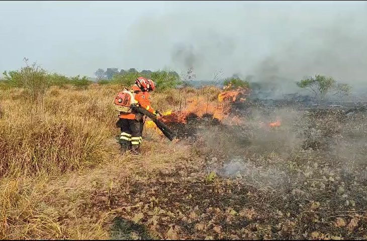 Fogo devasta regiões pantaneiras de Mato Grosso e Mato Grosso do Sul