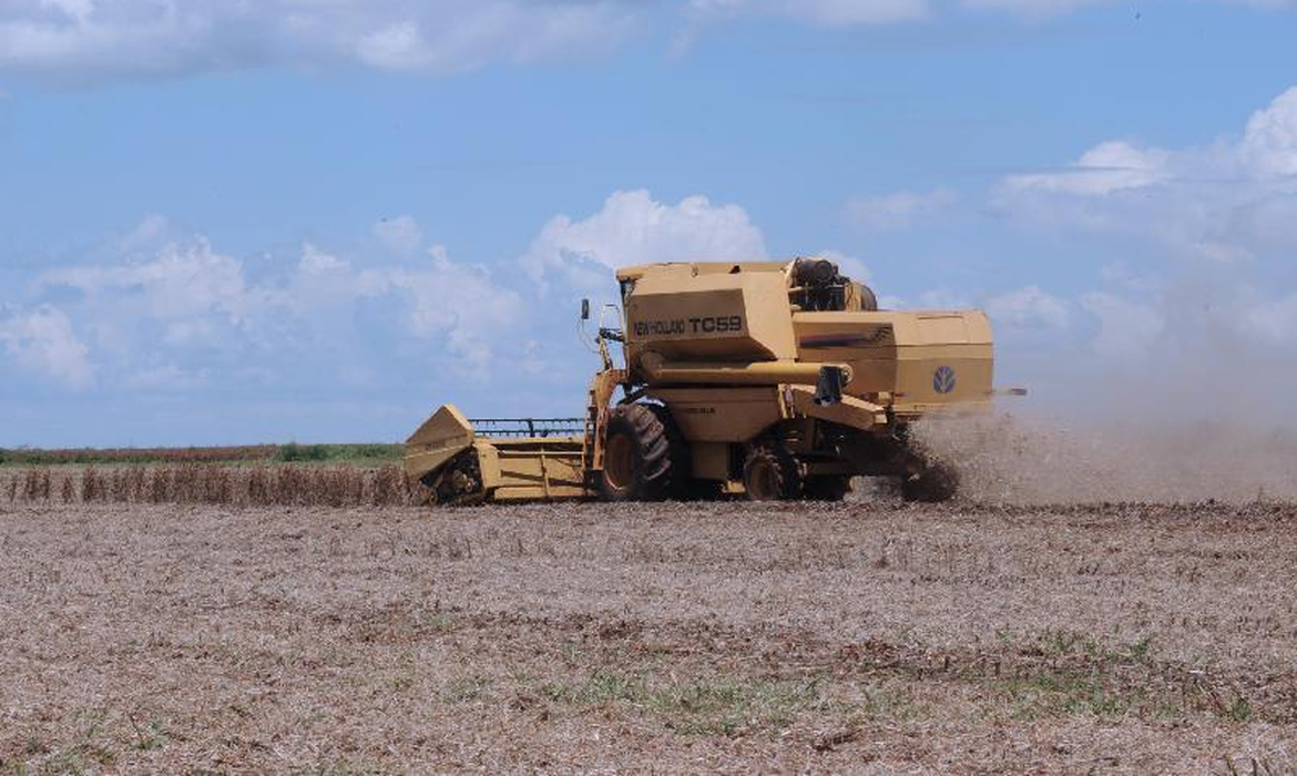El Niño atrasa plantio de soja em MT e produtores temem prejuízo
